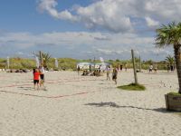 Palmestrand