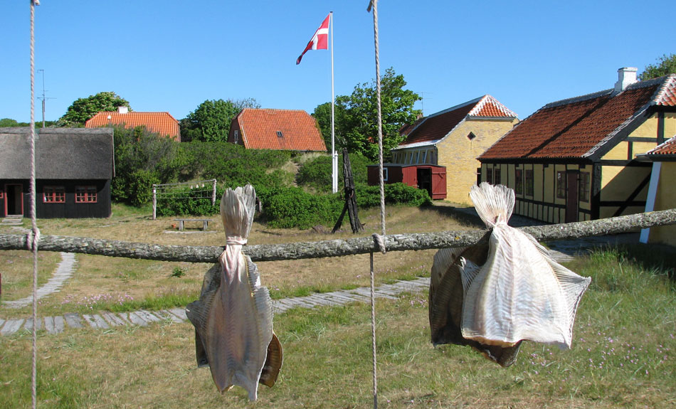 campingferie-skagen