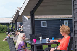 campinghytter nær skagen