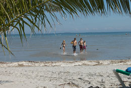 Palmenstrand