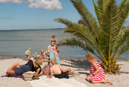 Børnene bygger sandslot på palmestranden.