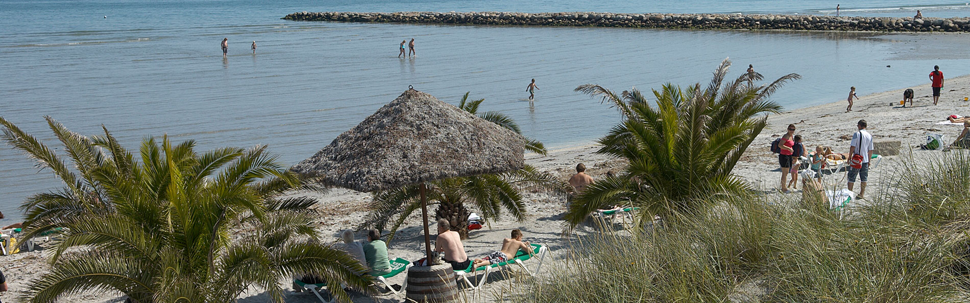 palmestrand 
